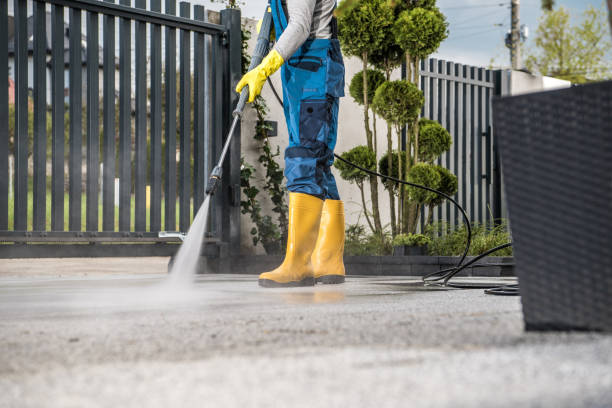 Best Roof Pressure Washing  in East Porterville, CA